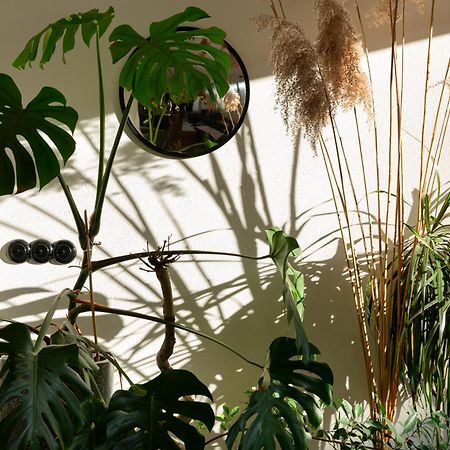 Evergreen - Old Town Spacious Stylish Apartment With Ac And One And A Half Bath, Baby & Kid- Friendly Братислава Экстерьер фото