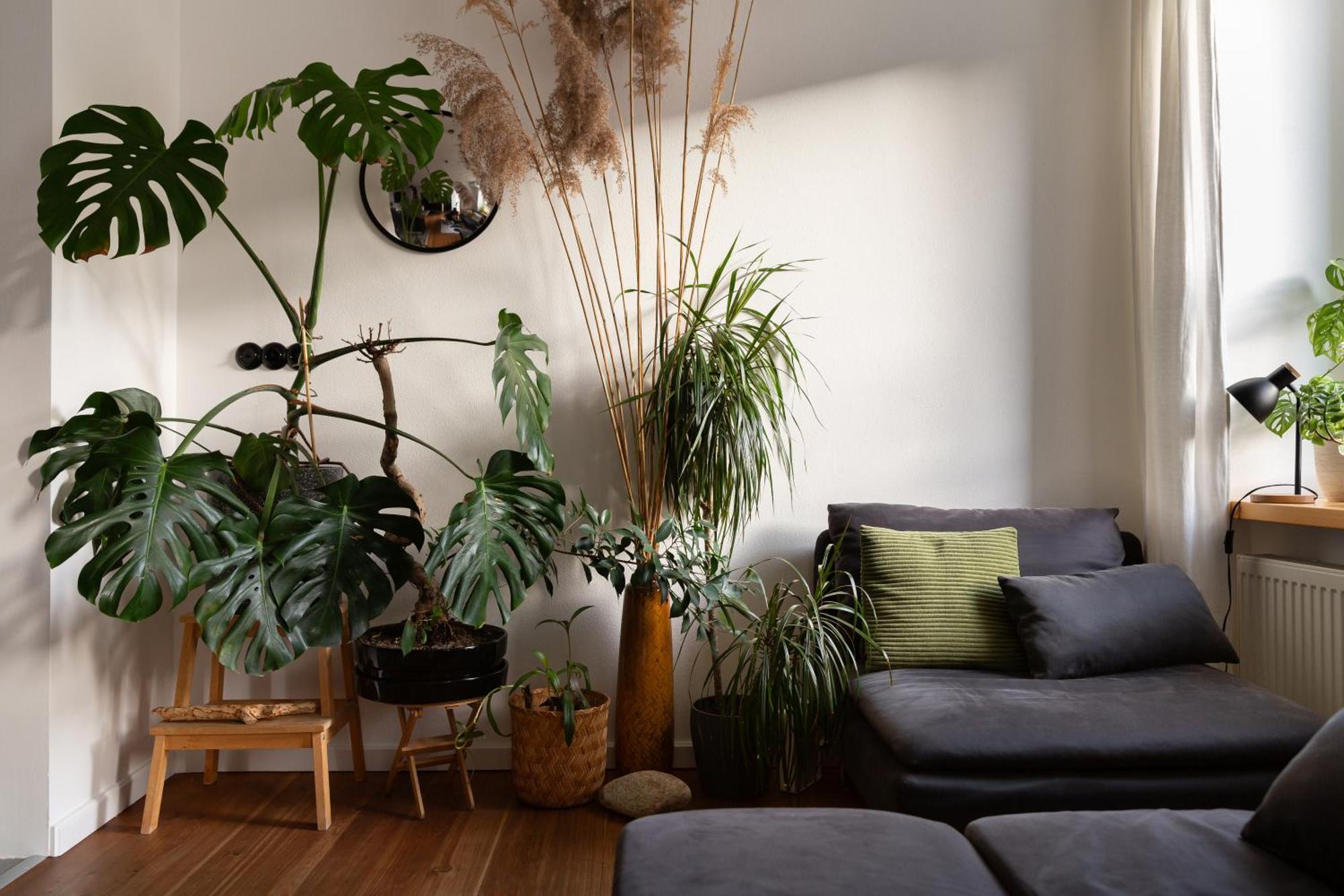 Evergreen - Old Town Spacious Stylish Apartment With Ac And One And A Half Bath, Baby & Kid- Friendly Братислава Экстерьер фото