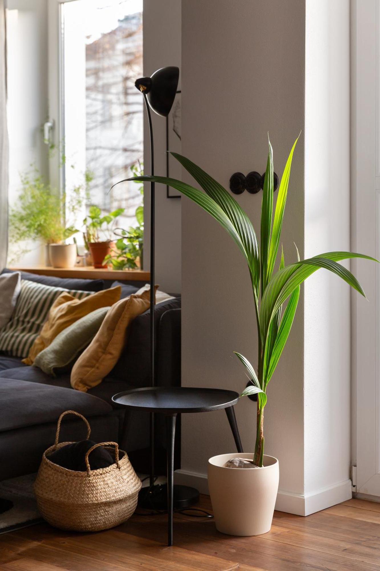 Evergreen - Old Town Spacious Stylish Apartment With Ac And One And A Half Bath, Baby & Kid- Friendly Братислава Экстерьер фото