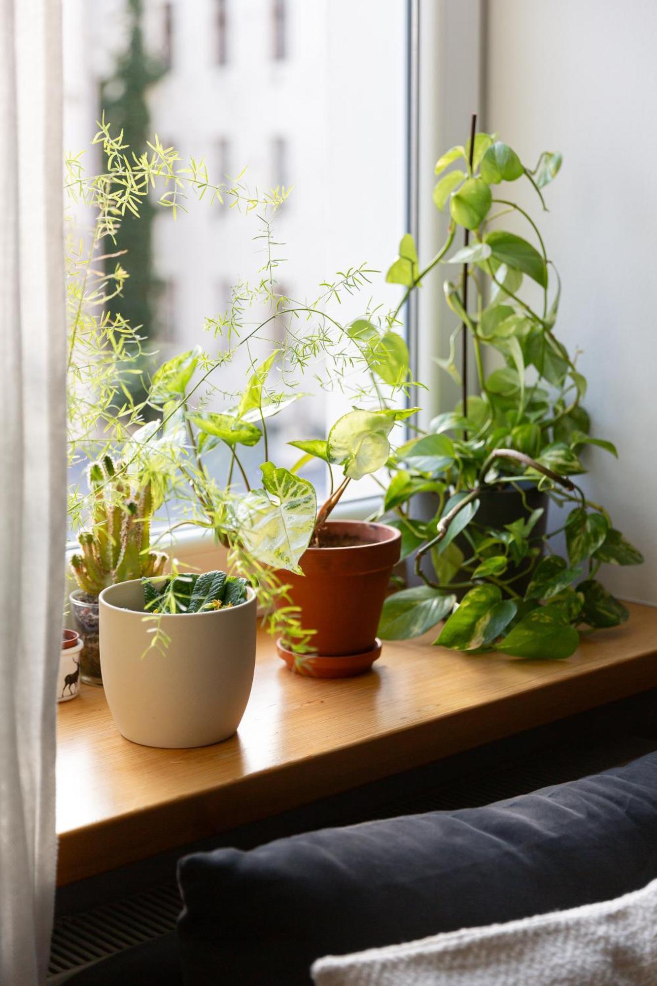 Evergreen - Old Town Spacious Stylish Apartment With Ac And One And A Half Bath, Baby & Kid- Friendly Братислава Экстерьер фото